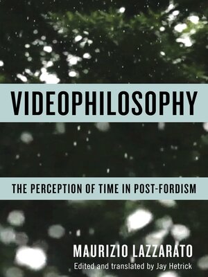 cover image of Videophilosophy